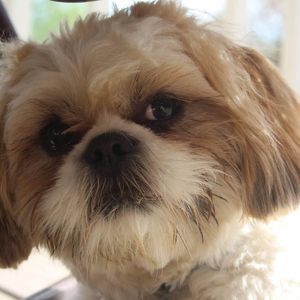 Meet your Posher, Tammy